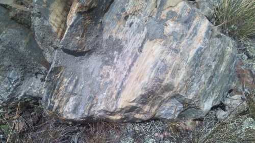 Гигантские зелёные валуны для ландшафтного дизайна весом более 5 тонн купить в Пермском крае